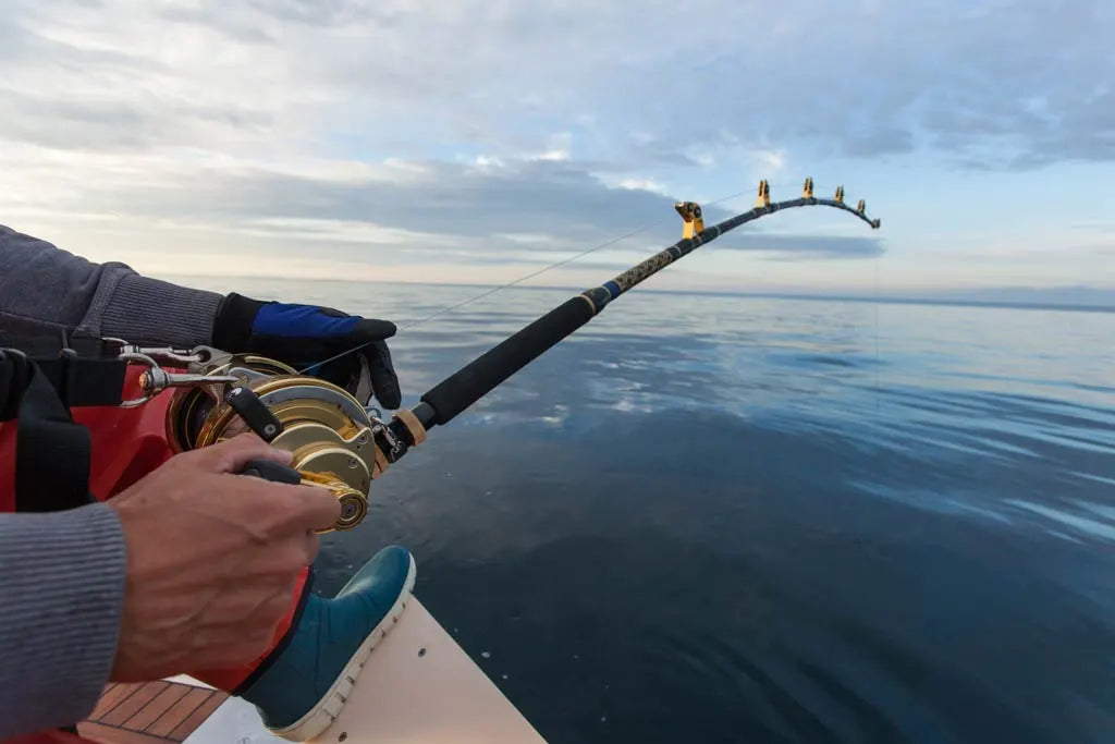 Fishing Rods